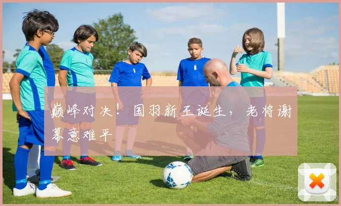 巅峰对决！国羽新王诞生，老将谢幕意难平