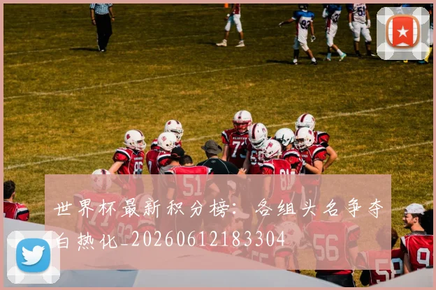 世界杯最新积分榜：各组头名争夺白热化_20260612183304