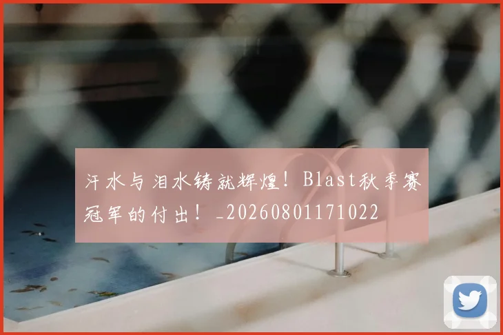 汗水与泪水铸就辉煌!Blast秋季赛冠军的付出!_20260801171022